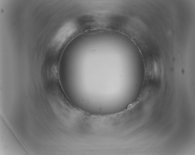 X0000071330045200607141916