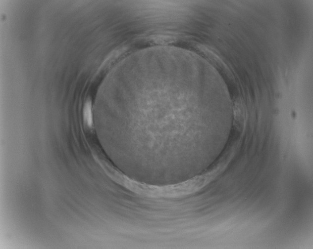 X0000071330046200607141916