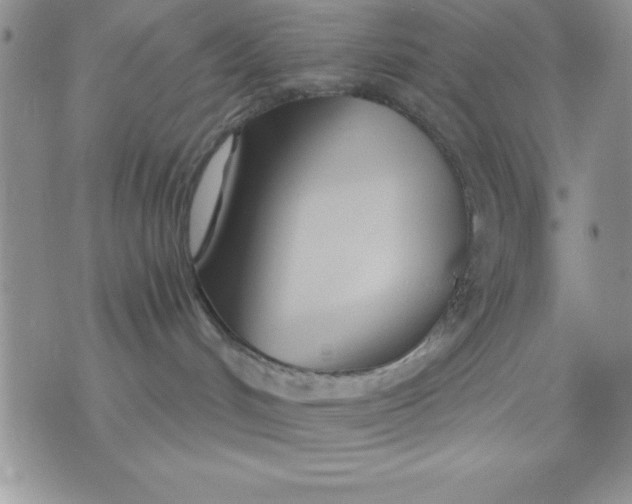 X0000071330048200607141916