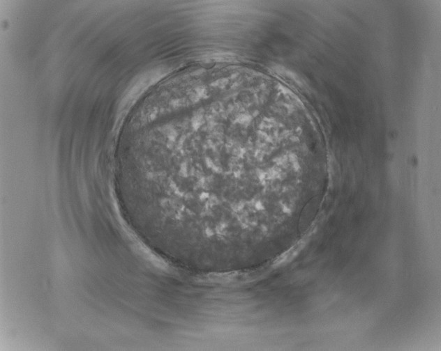 X0000071330049200607141915