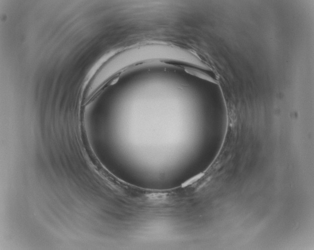 X0000071330052200607141916