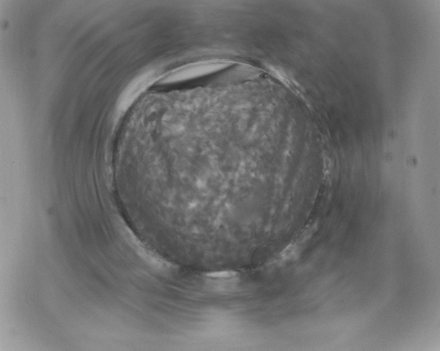 X0000071330053200607141916