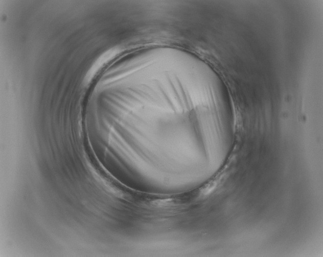 X0000071330054200607141916