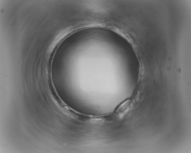 X0000071330055200607141916