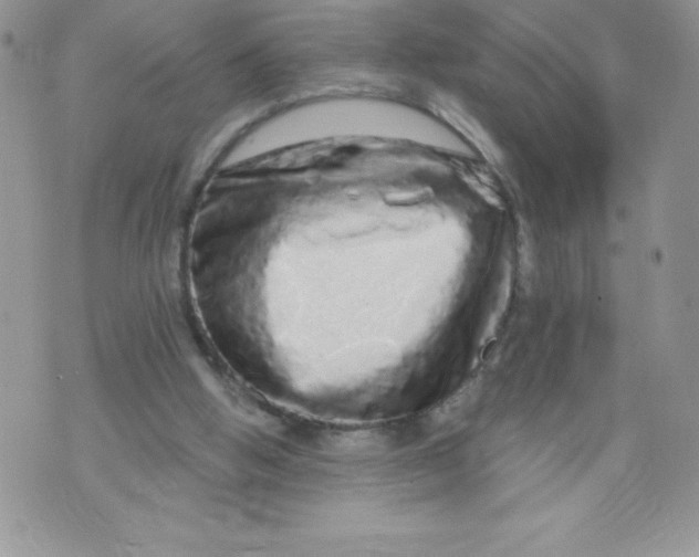 X0000071330058200607141916