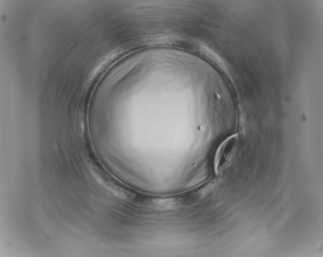 X0000071330059200607141916