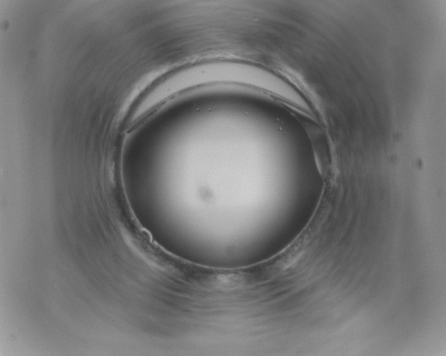 X0000071330060200607141916