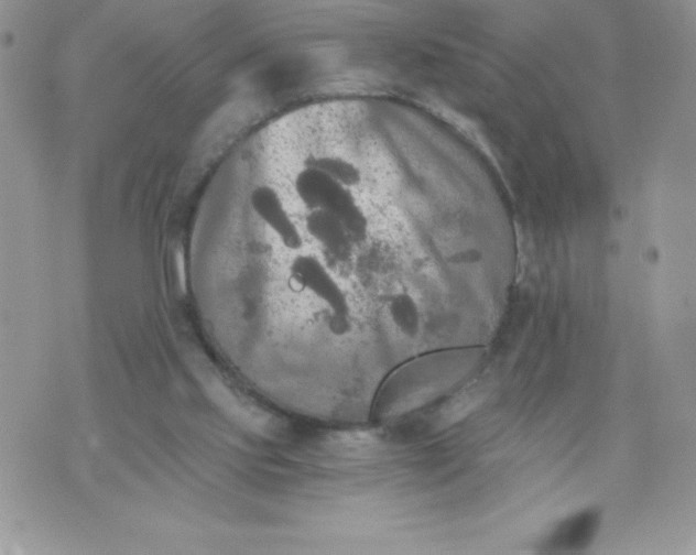 X0000071330061200607141916