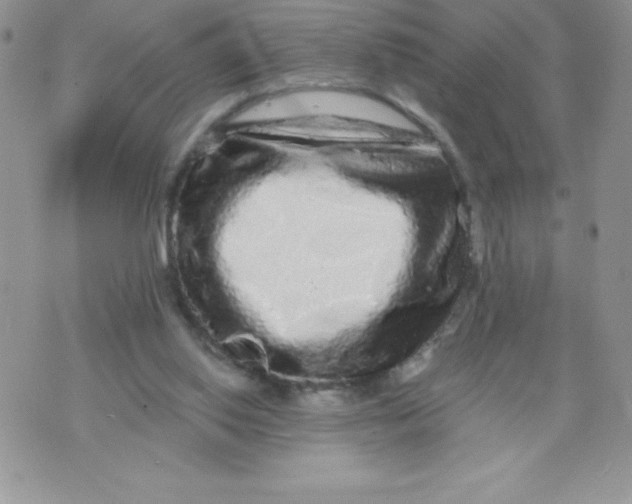 X0000071330062200607141916