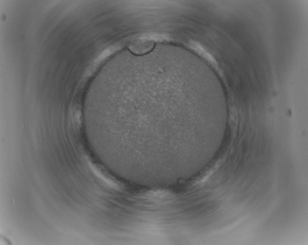 X0000071330063200607141916