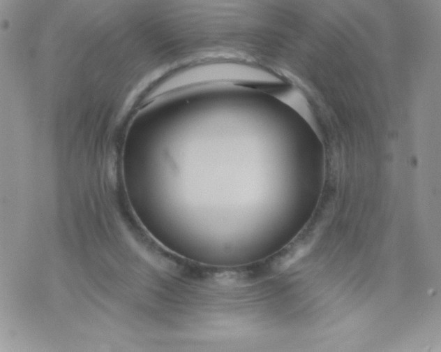 X0000071330064200607141916