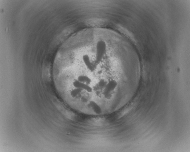 X0000071330065200607141916