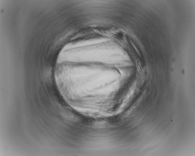 X0000071330066200607141916