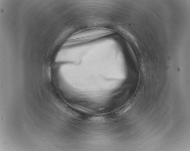 X0000071330067200607141916