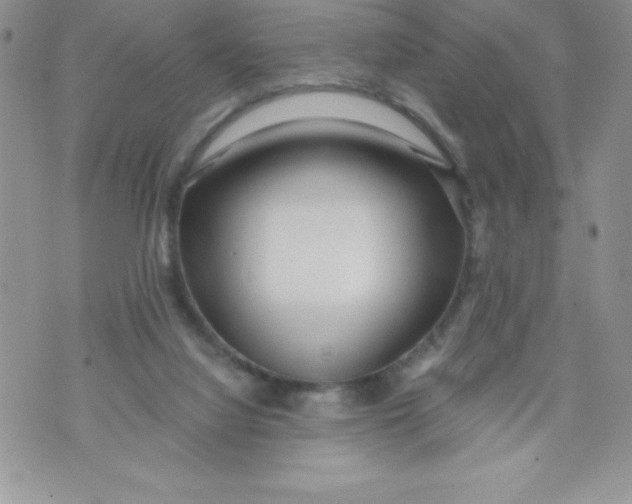 X0000071330068200607141916