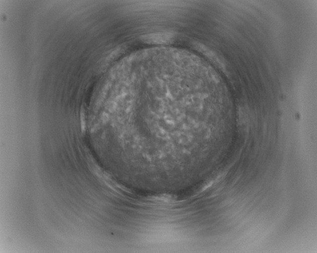 X0000071330069200607141916