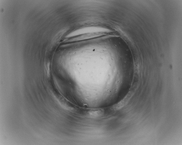 X0000071330070200607141916