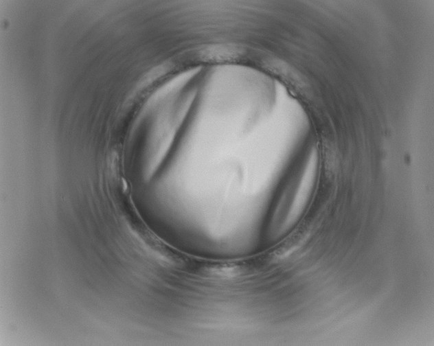 X0000071330071200607141916