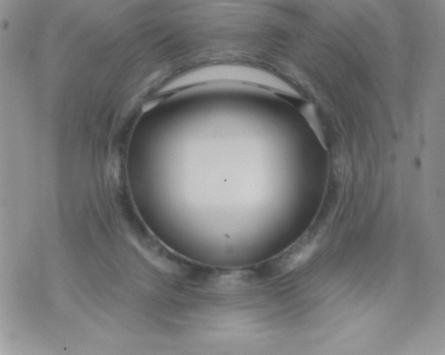 X0000071330072200607141916