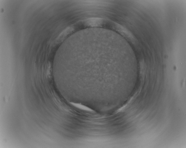 X0000071330073200607141916