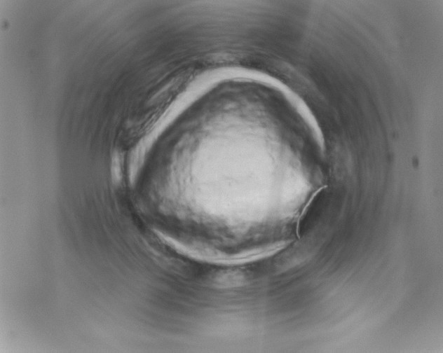 X0000071330075200607141916