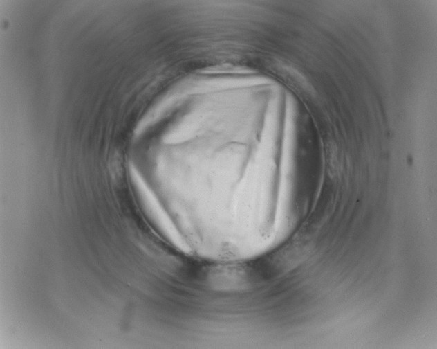 X0000071330077200607141916