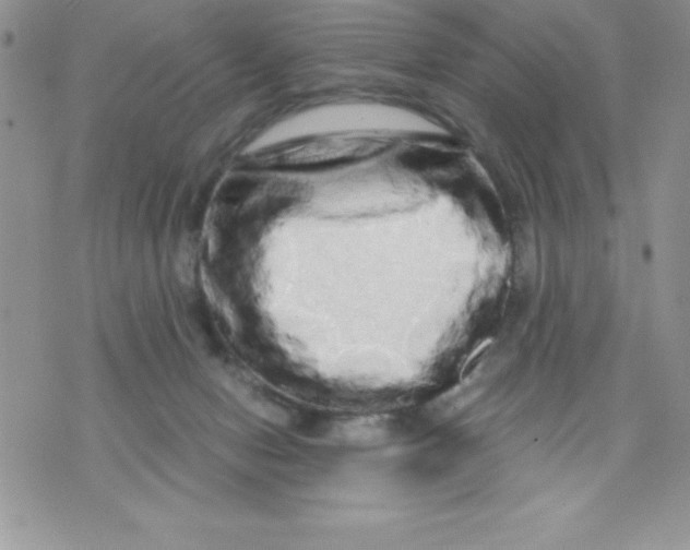 X0000071330078200607141916