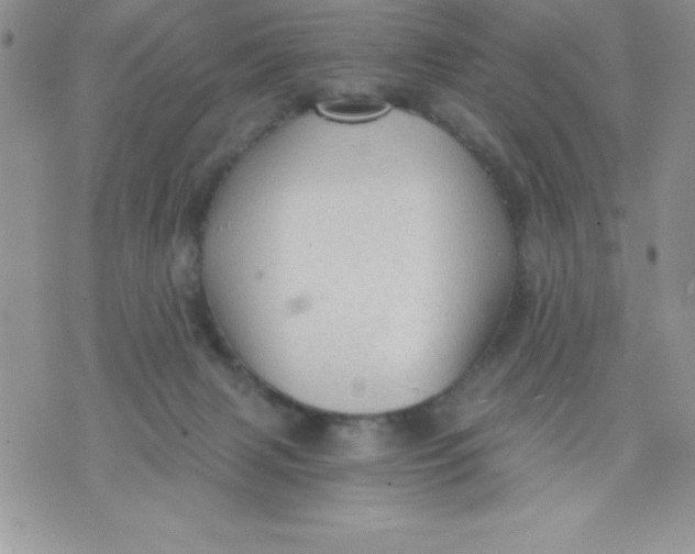 X0000071330079200607141916