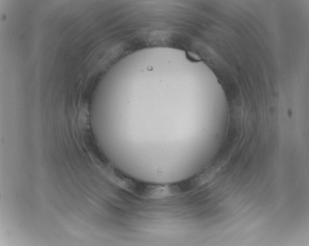 X0000071330083200607141916