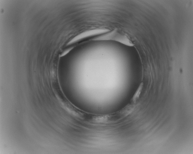 X0000071330084200607141916