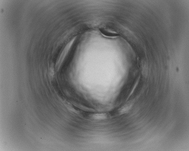 X0000071330085200607141916