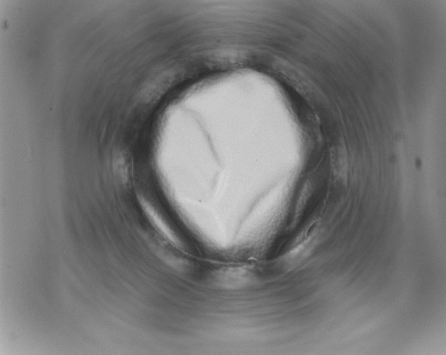 X0000071330086200607141916