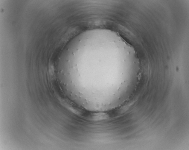 X0000071330087200607141916