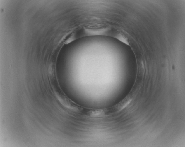 X0000071330088200607141916