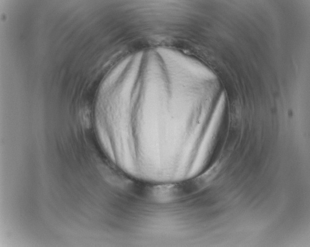 X0000071330090200607141916