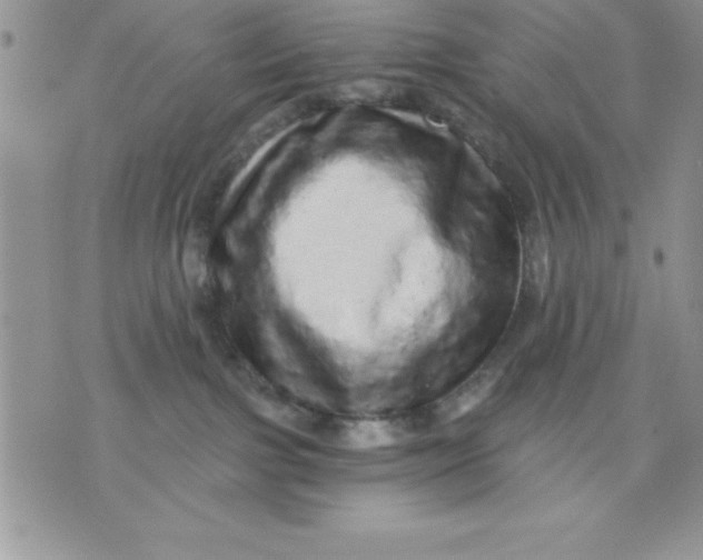 X0000071330091200607141916