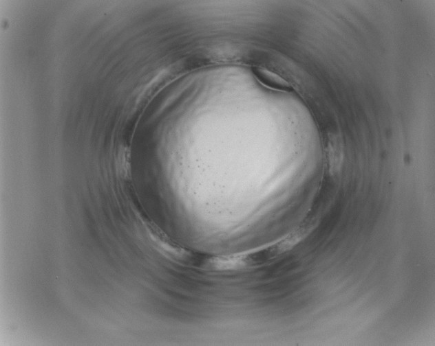 X0000071330093200607141916