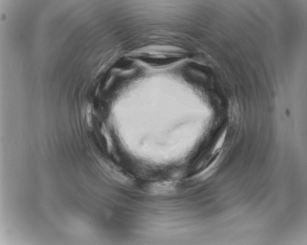 X0000071330094200607141916