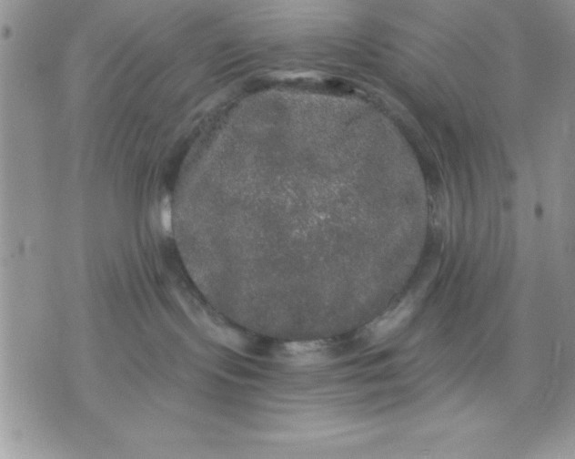 X0000071330095200607141916