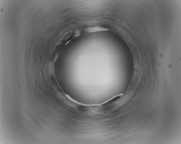 X0000071330096200607141916