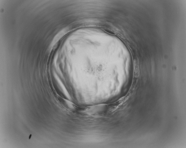 X0000071330099200607141915