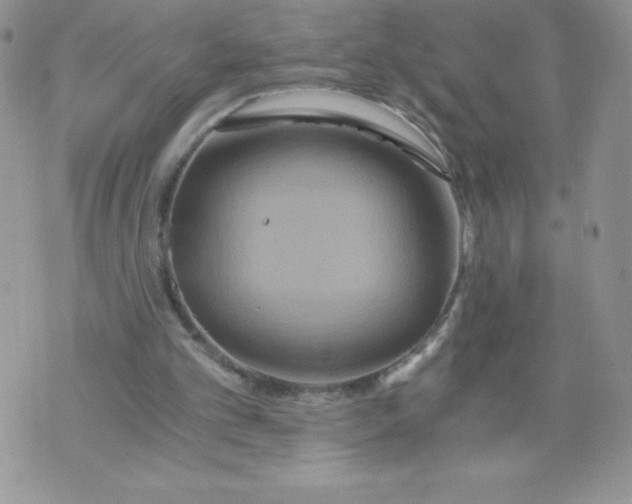 X0000071330101200607141915