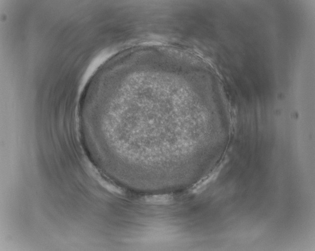 X0000071330102200607141915