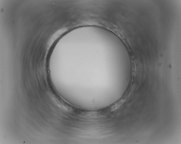 X0000071330104200607141915