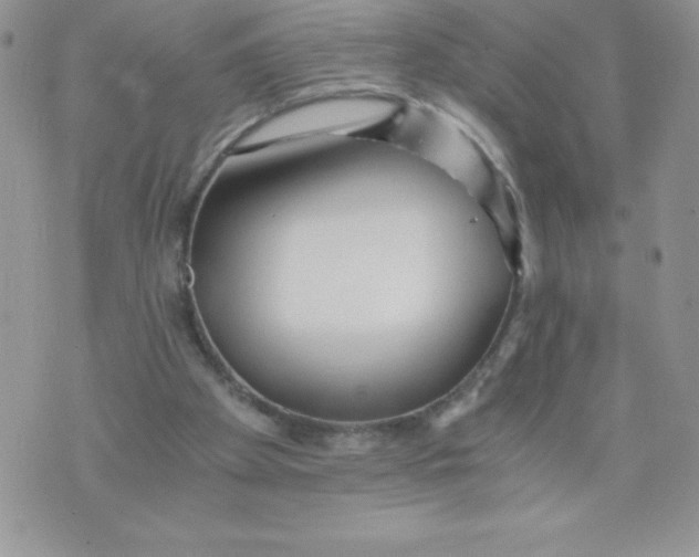 X0000071330105200607141915