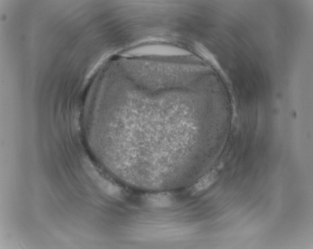 X0000071330106200607141915