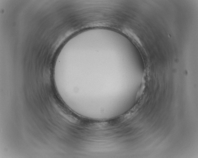 X0000071330108200607141915