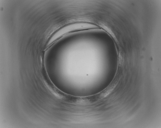 X0000071330109200607141915