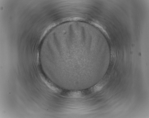 X0000071330110200607141915