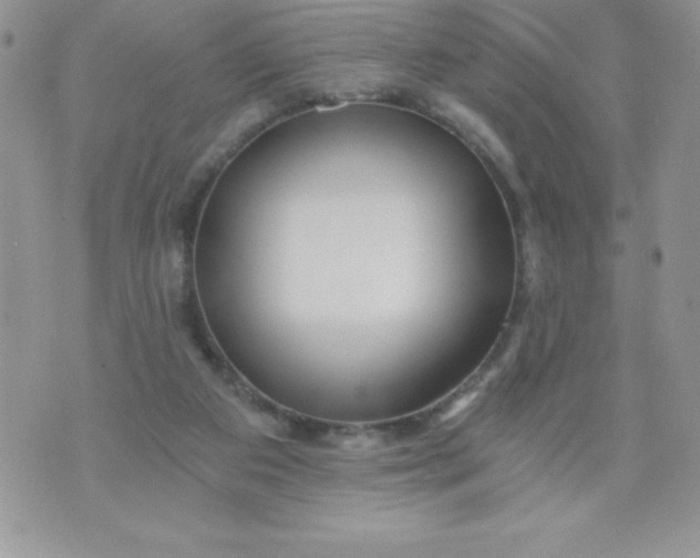 X0000071330113200607141915